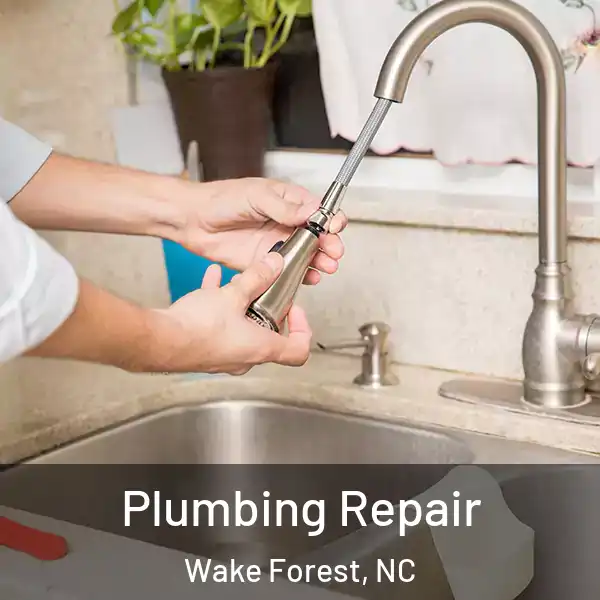  Plumbing Repair Wake Forest, NC