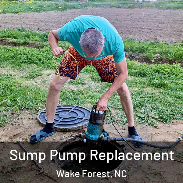  Sump Pump Replacement Wake Forest, NC