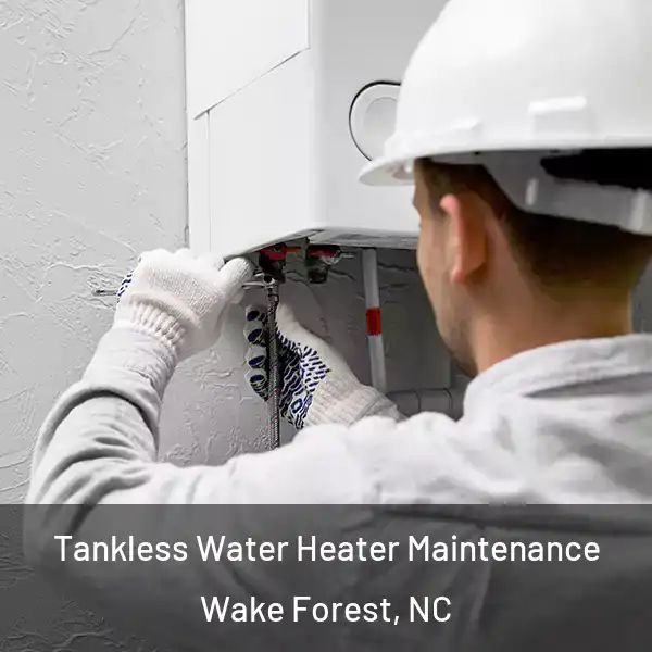  Tankless Water Heater Maintenance Wake Forest, NC