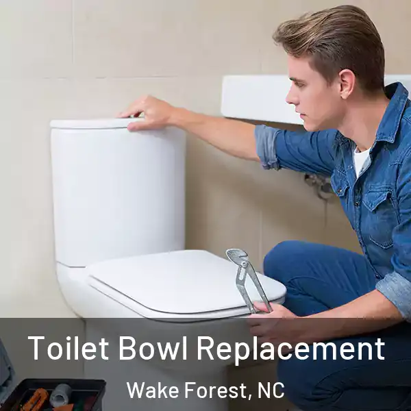  Toilet Bowl Replacement Wake Forest, NC