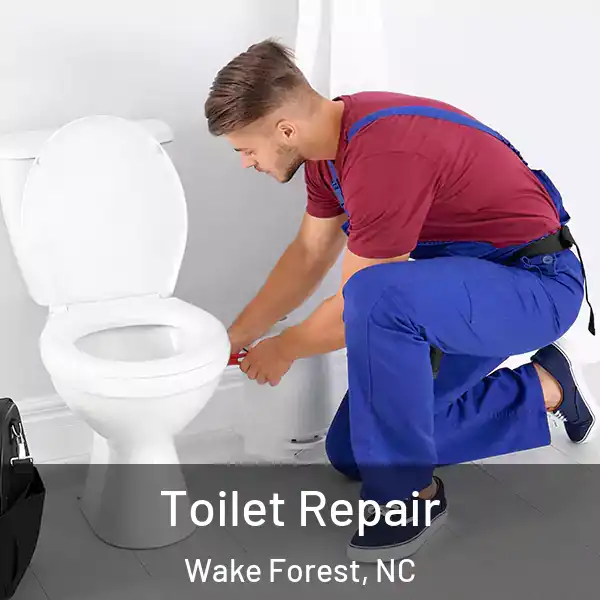  Toilet Repair Wake Forest, NC