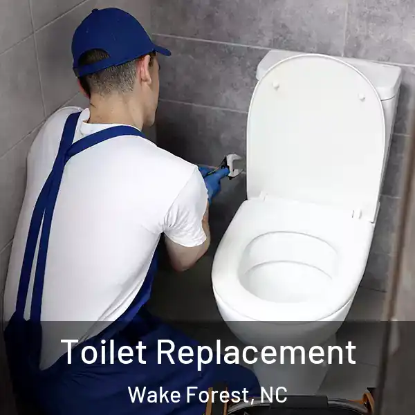  Toilet Replacement Wake Forest, NC